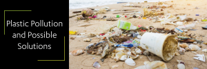 Plastic Pollution and Possible Solutions