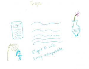 A focus group member's illustrations of water include a glass of water, a flower in a vase, and a person showering.