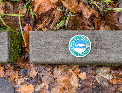 A curb with a plaque referencing a green stormwater management program