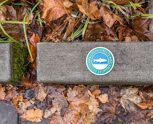 A curb with a plaque referencing a green stormwater management program