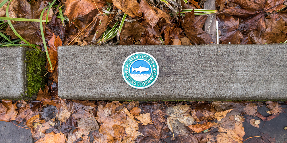 A curb with a plaque referencing a green stormwater management program