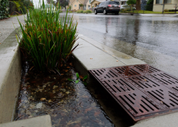 Rainwater flowing into a storm drain in Los Angeles