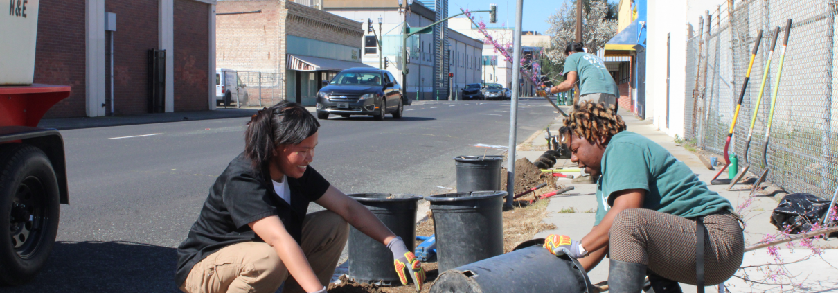 Glenabel Toreno and Venecia Johnson prepare a tree for planting along a sidewalk in the Stockton Rising project area