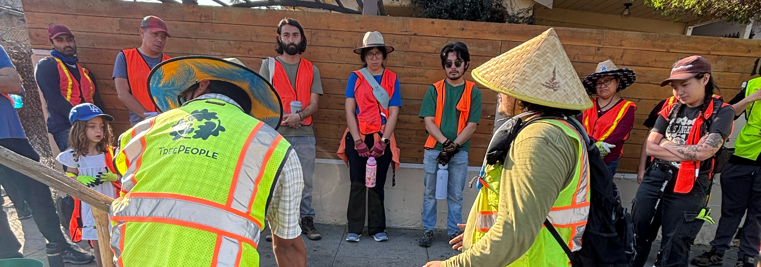 TreePeople Staff training volunteers