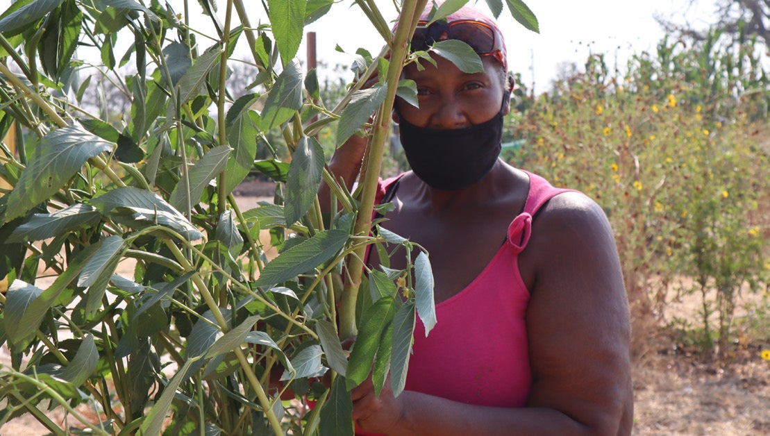 Patricia Hubbard at the Yosemite Village Permaculture Community Garden and Urban Farm Incubator