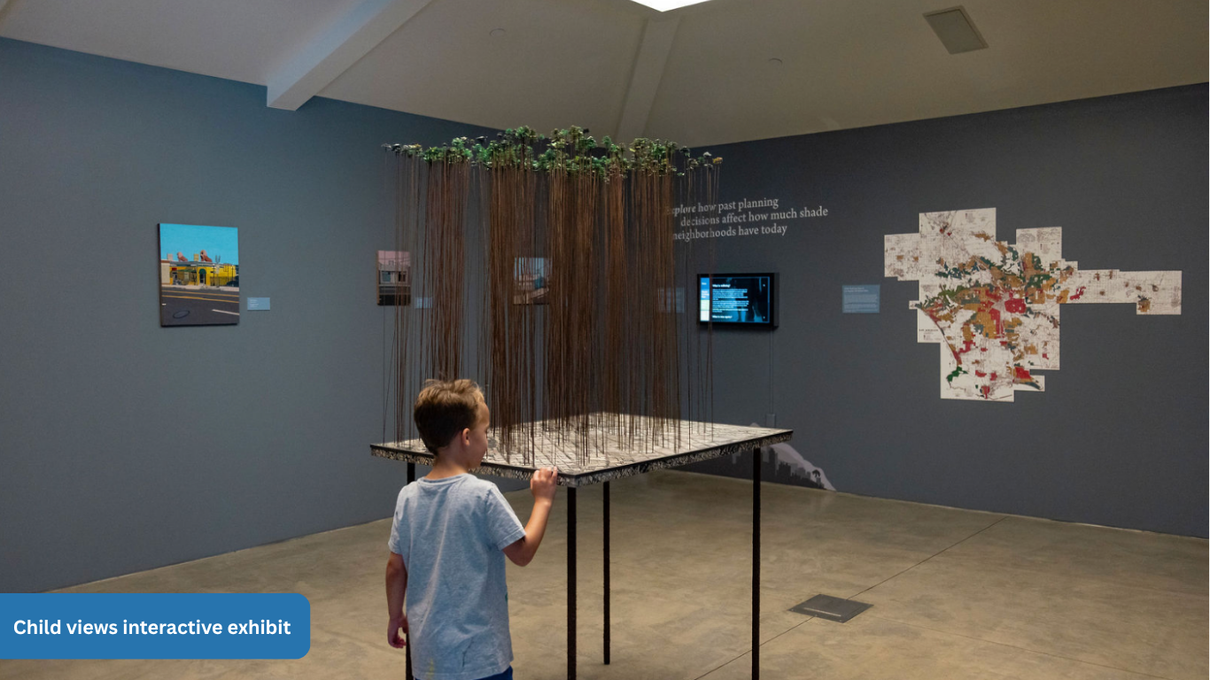 Child views interactive exhibit